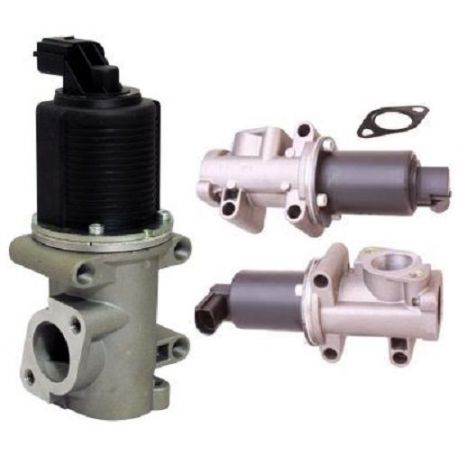 What does an egr valve do picture